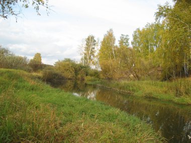 Sonbahar manzarası
