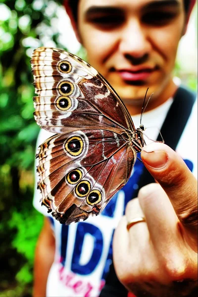 男孩与蝴蝶 — 图库照片