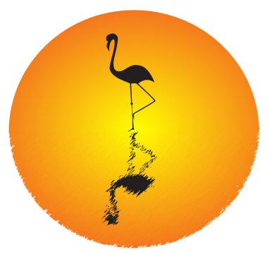 Flamingo clipart