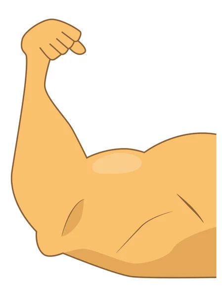 stock vector Muscular arm