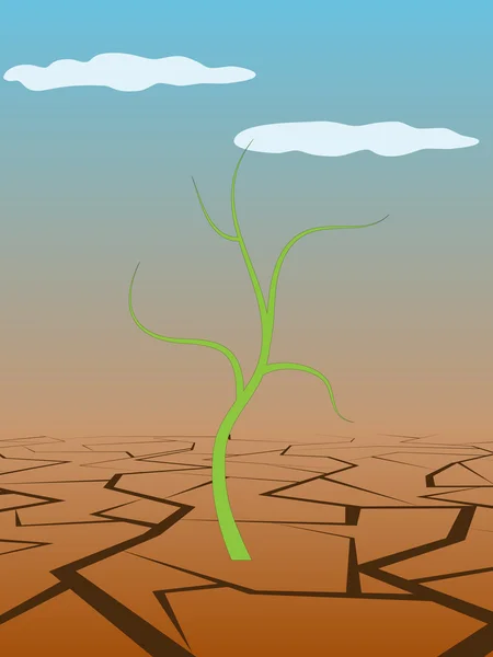 Tierra seca — Vector de stock
