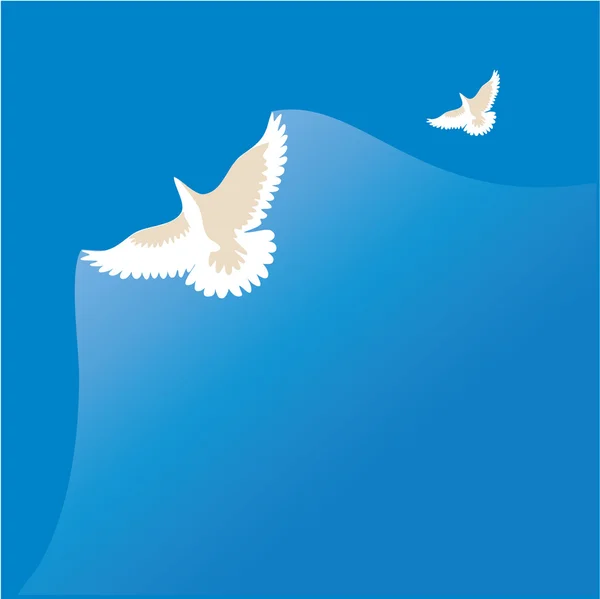 Біла голубка — стоковий вектор