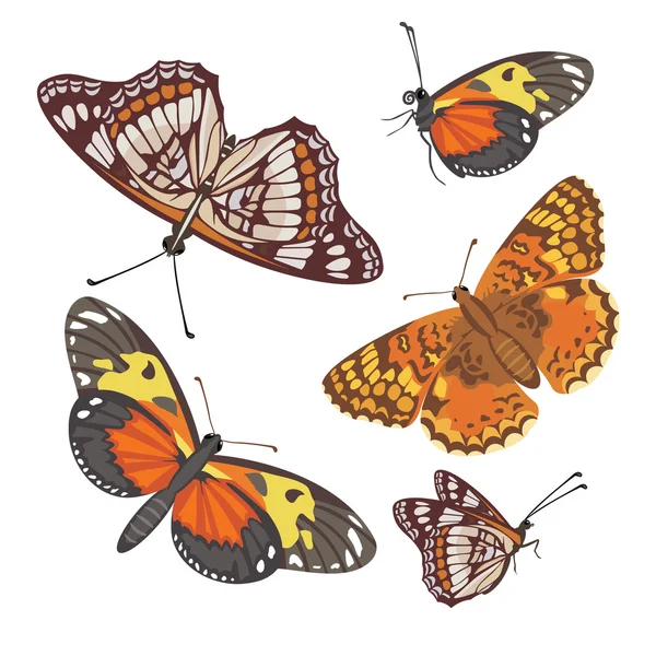 Mariposas realistas diferentes — Vector de stock