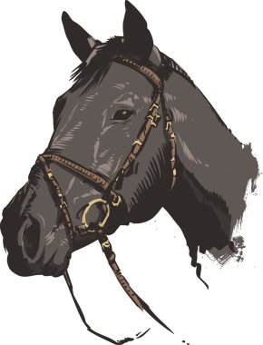 Traditional style horse vector illustrat clipart