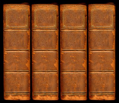 Old vintage leather book spines with sil clipart