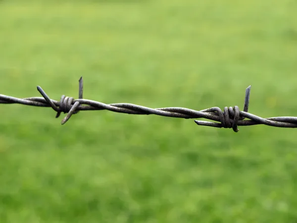 stock image Section of barb wire against a green gra