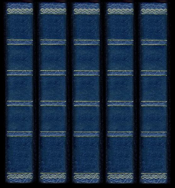 Antiguo libro de cuero vintage espinas con gol — Foto de Stock