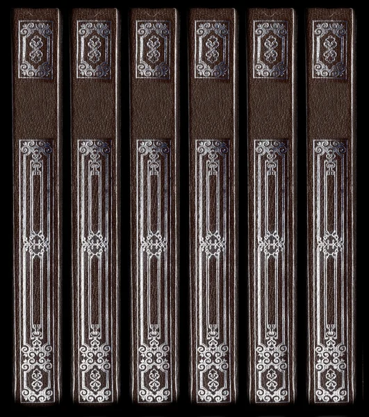 Old vintage leather book spines with sil — Stock Photo, Image