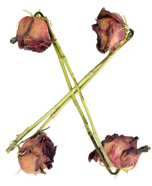 Viejas rosas secas en un símbolo de cruz agains — Foto de Stock