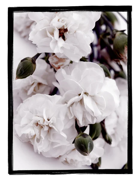 Красиве квіткове зображення в гранжевій рамці — стокове фото