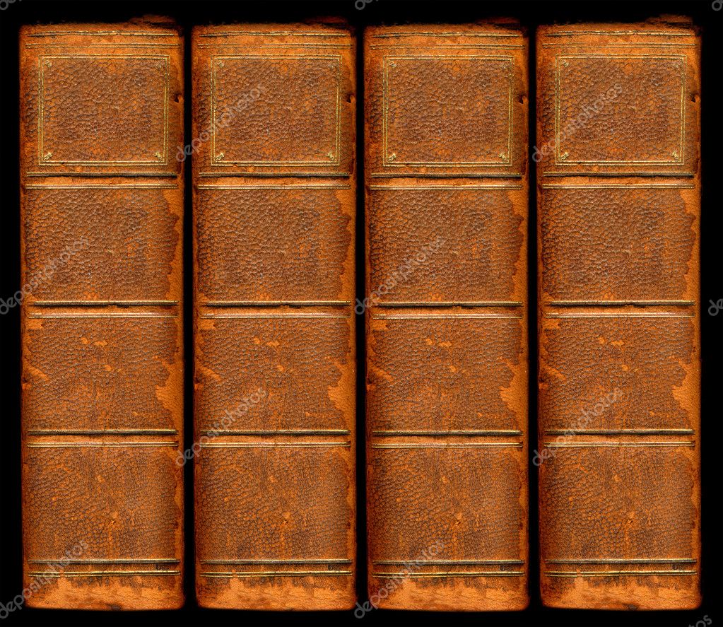 Old Vintage Leather Book Spines With Sil Stock Photo Image By C Wingnutdesigns
