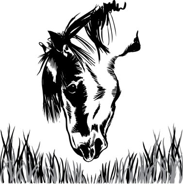 Horse feeding on grass illustration clipart