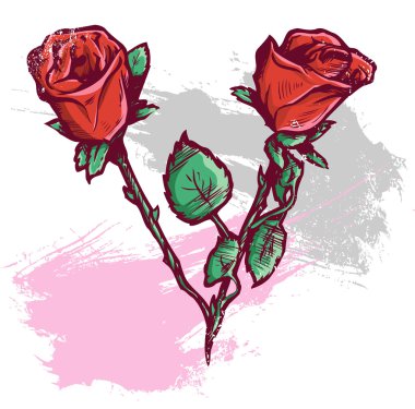 Beautiful Valentines Day Roses Vector Il clipart