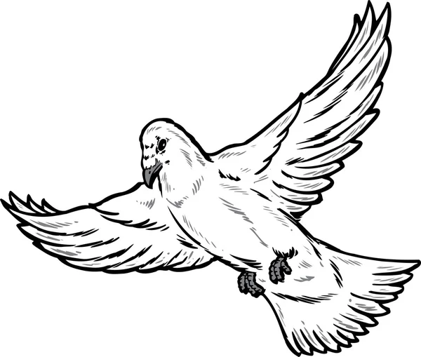Uçuş çizimde güvercin — Stok Vektör