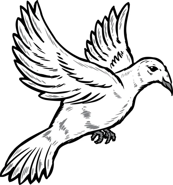 비행기 그림에서 비둘기 — 스톡 벡터