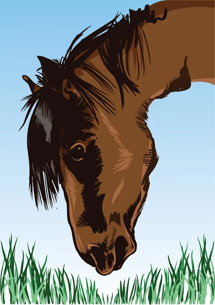 Alimentación de caballos en la ilustración hierba — Vector de stock