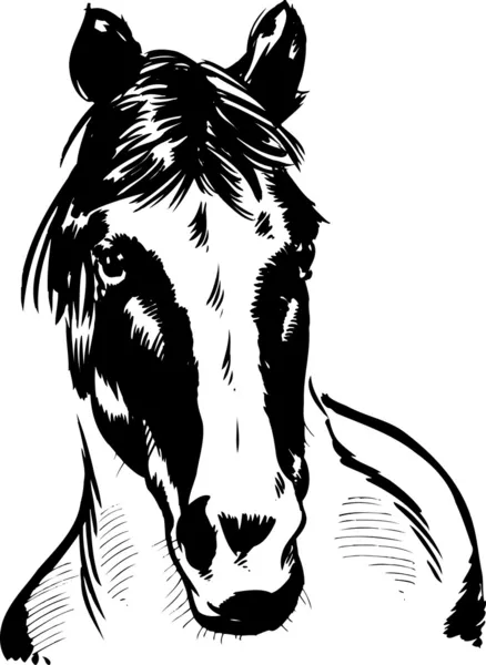Illustrazione ritratto cavallo selvaggio — Vettoriale Stock