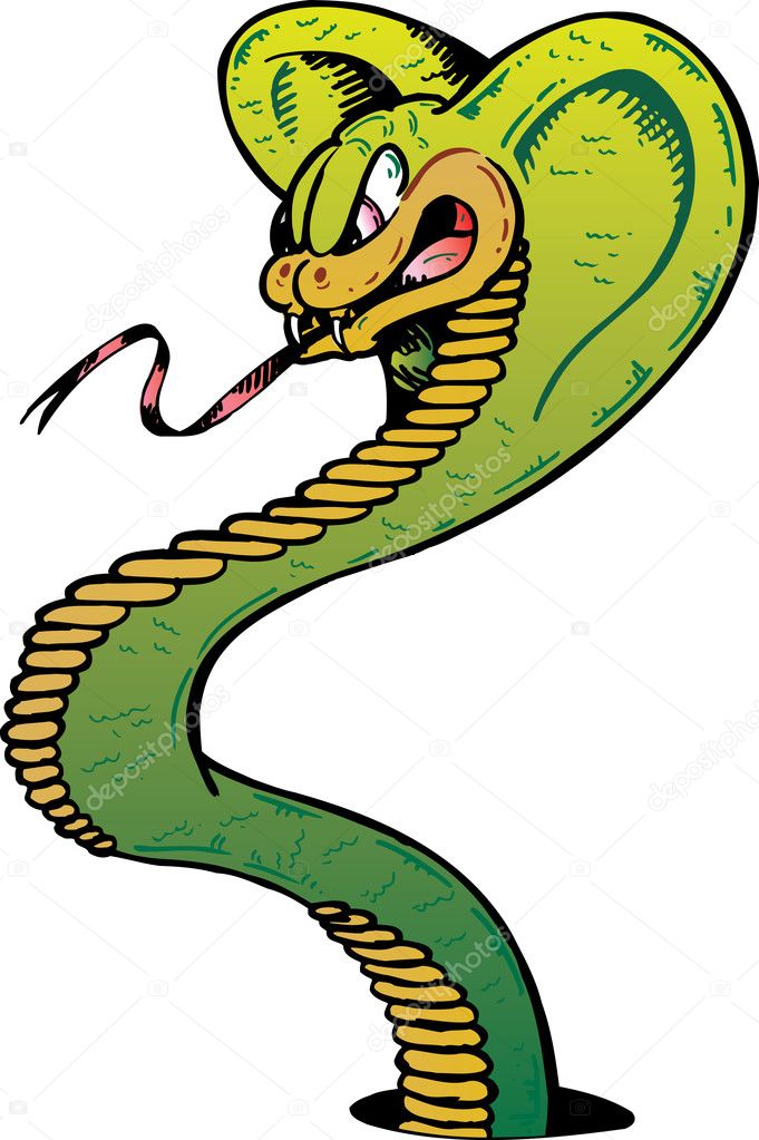 Angry Cobra snake vector illustration Stock Vector Image by ©wingnutdesigns  #2792295