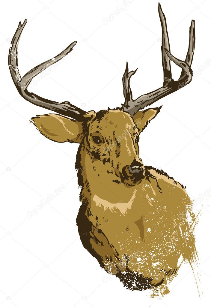 Wild deer vector illustration