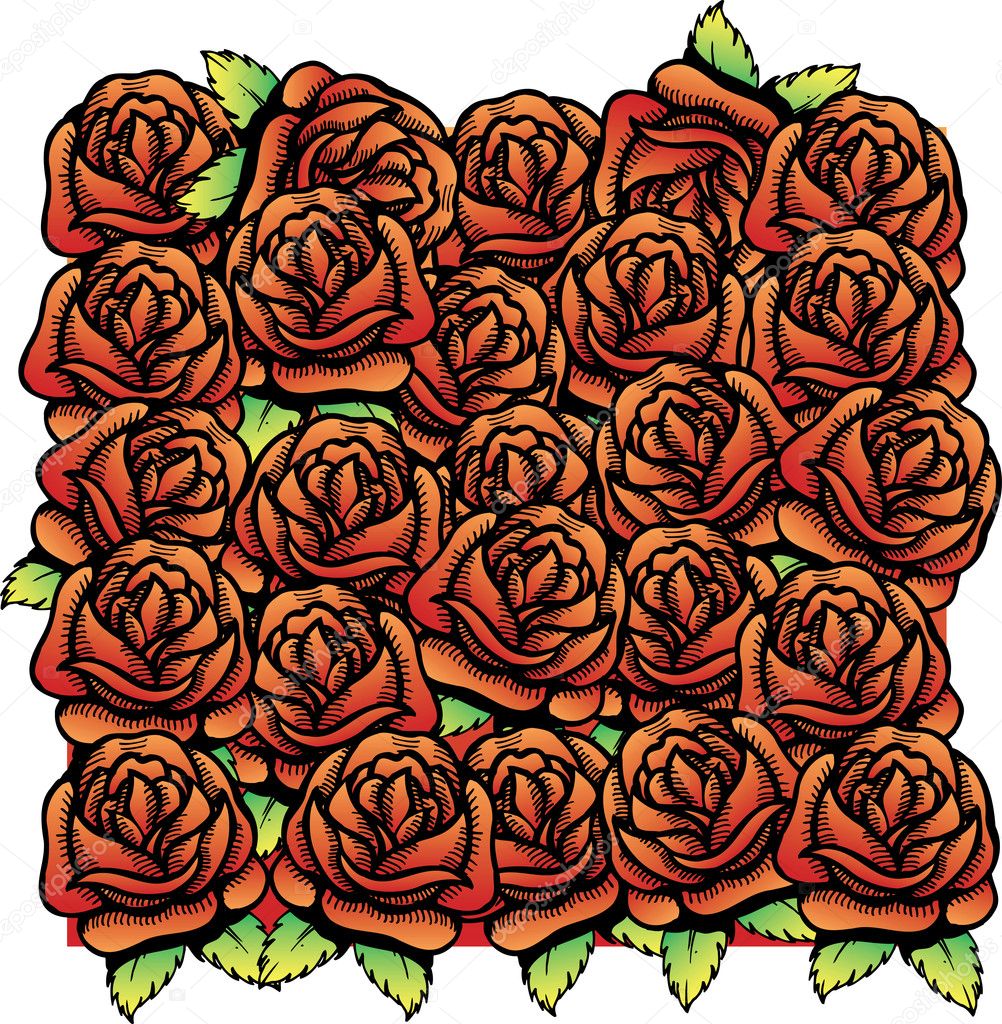 Roses vector illustration background pat