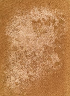 Mould on old fabric background texture clipart