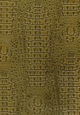 Reptile Skin Texture Background clipart