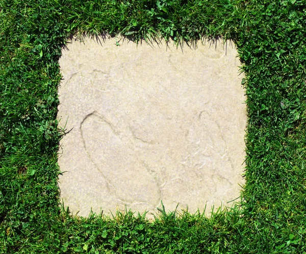 Borda de grama e laje de pedra — Fotografia de Stock