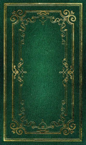 Starý zelený kožený textura — Stock fotografie