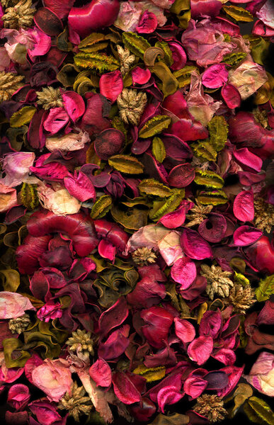 Dried flowers & Leaves background