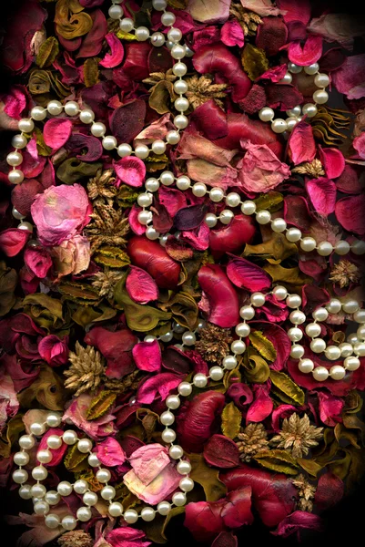 Sušené květiny listy & perly — Stock fotografie