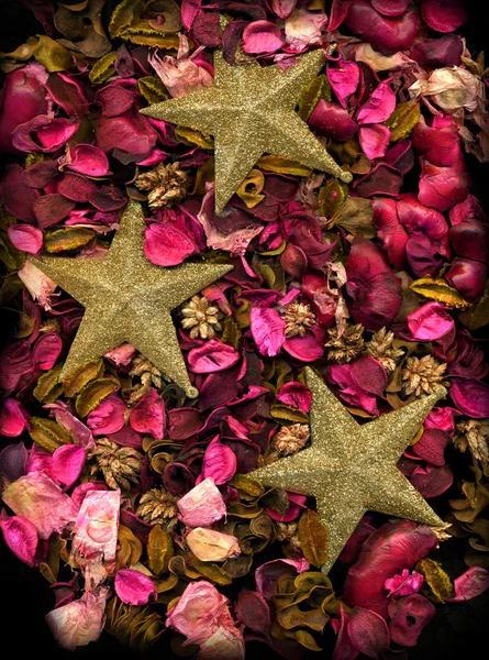 Flores secas Hojas y estrellas doradas — Foto de Stock
