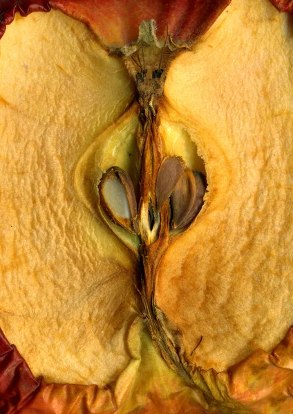 Textura de manzanas podridas — Foto de Stock