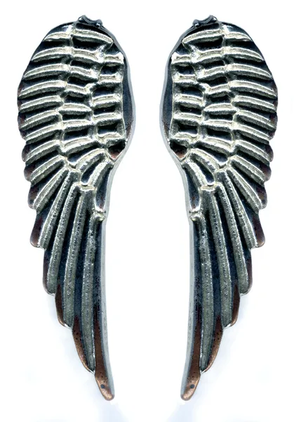 銀金属の翼 - グランジ ロック スタイル — ストック写真