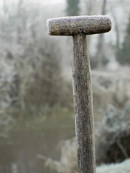 Winterszene mit einer eisbedeckten Sp — Stockfoto