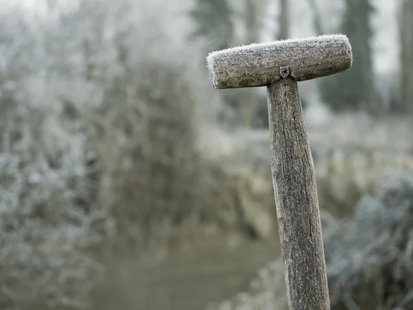 Winter scene featuring an ice covered sp — Stock Photo, Image