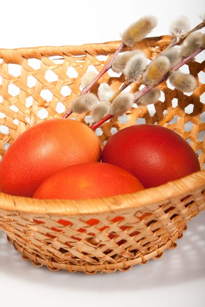 篮子里的彩蛋和柳树 — 图库照片