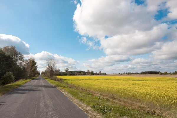 stock image Rural roads and rapeseed field