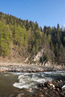 Dağ nehri