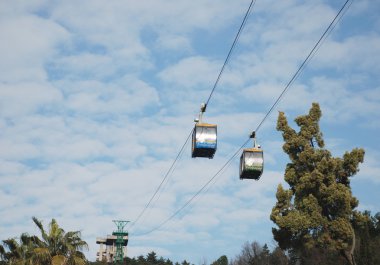 Teleferik Sochi ağaç kreş