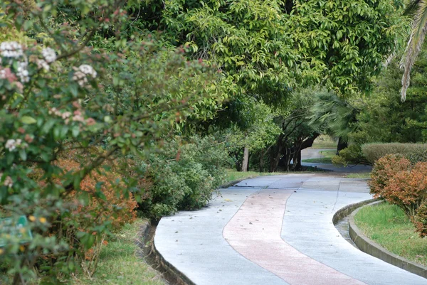 stock image Path through avenue.