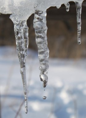 Плачущая сосулька