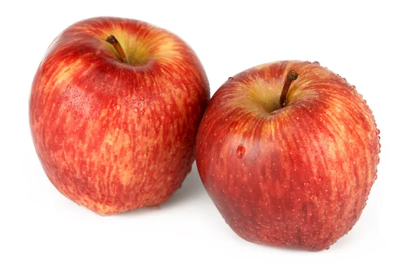 Дві червоні яблука — стокове фото