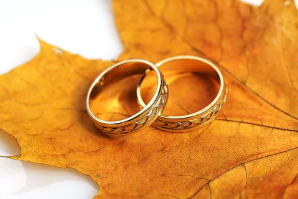 Snubní prsteny na podzimní list — Stock fotografie