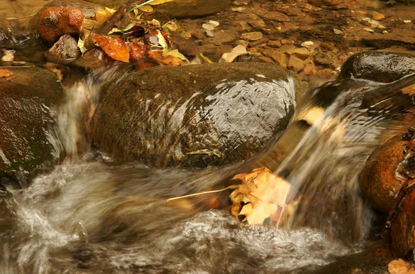 Fridfull vatten i bäcken — Stockfoto