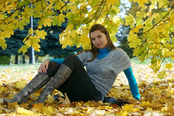 A lány ellen őszi levelek — Stock Fotó