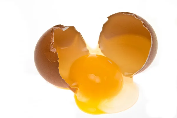 Stock image The broken chicken egg