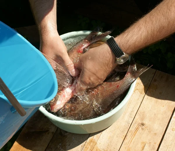 stock image After fishing