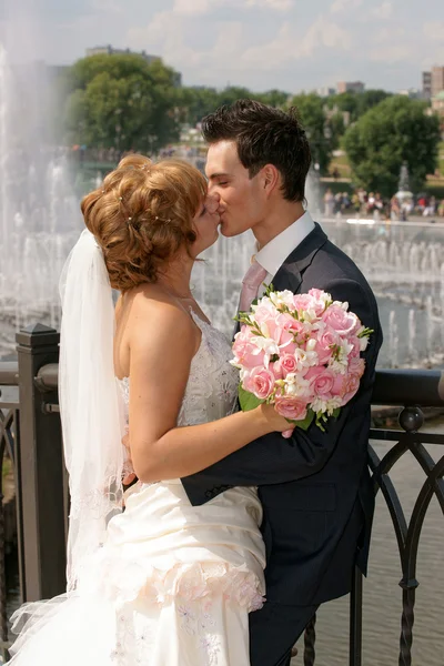 Beijo do noivo e da noiva — Fotografia de Stock