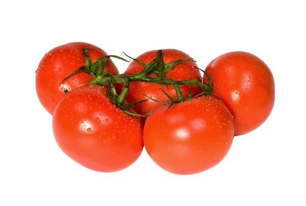 Спелые помидоры на белом фоне — стоковое фото