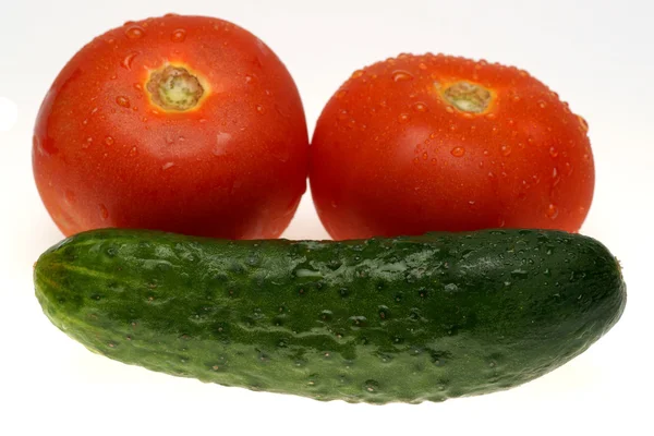 Okurka a rajčata — Stock fotografie